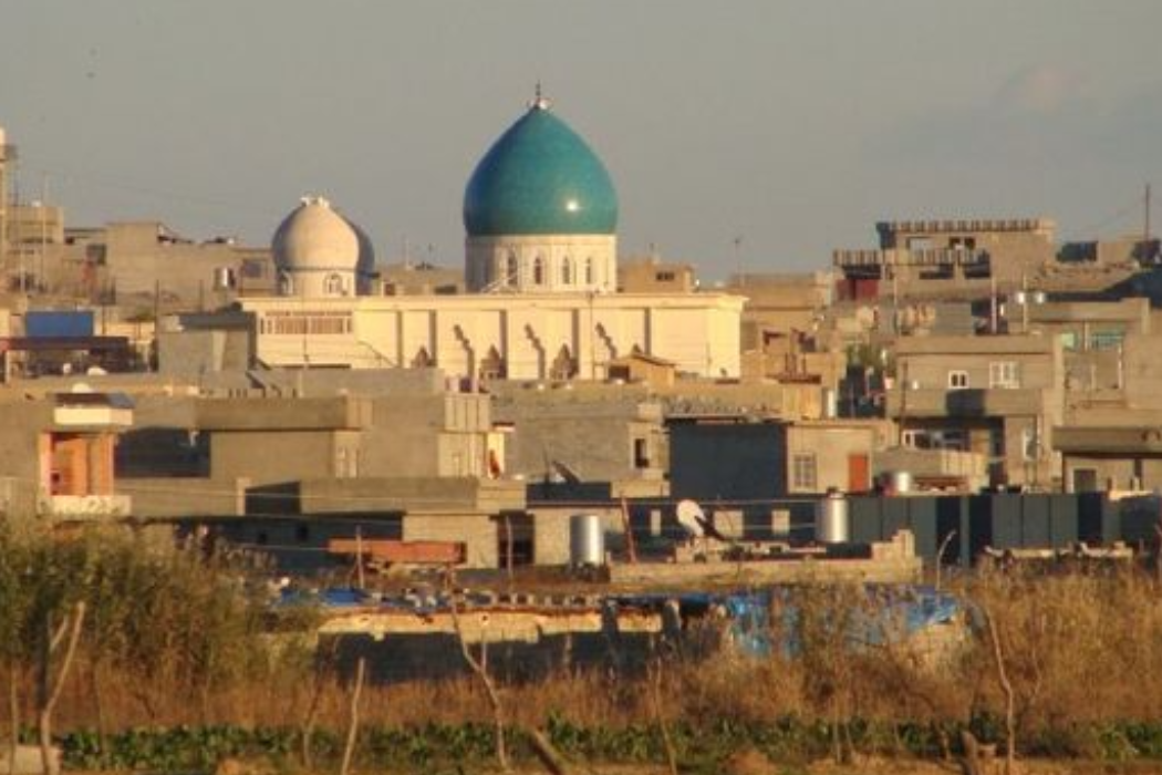 بردی