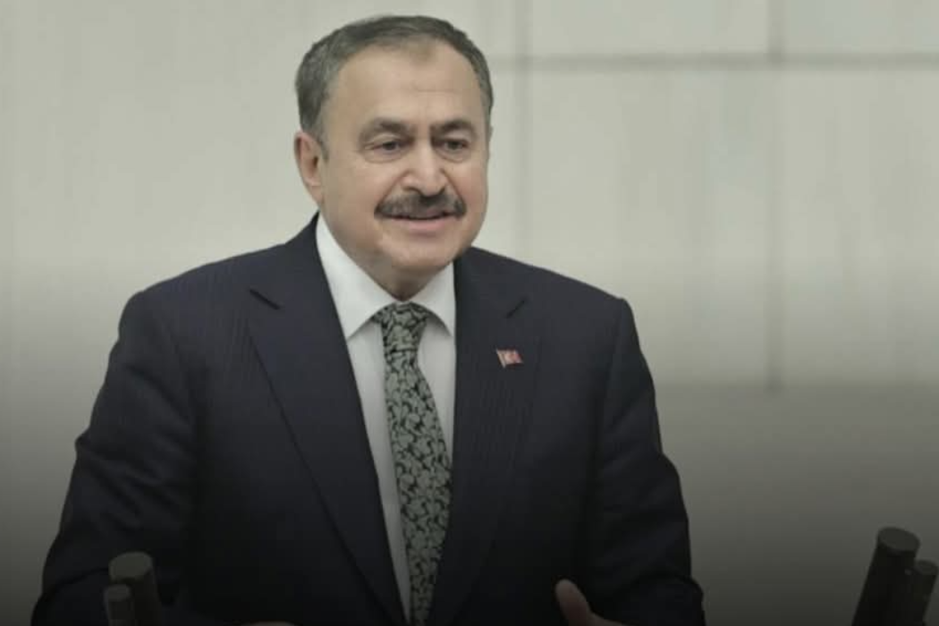 نێردەی تایبەتی