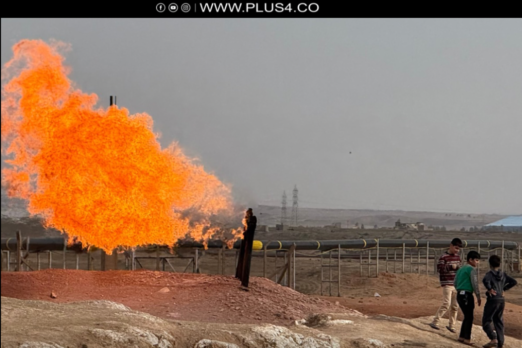 نفط