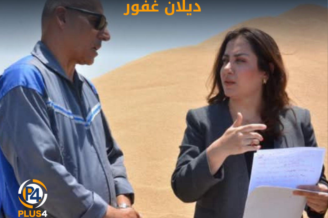 ديلان