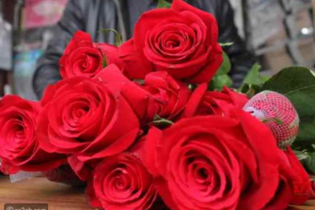 گوڵی سور