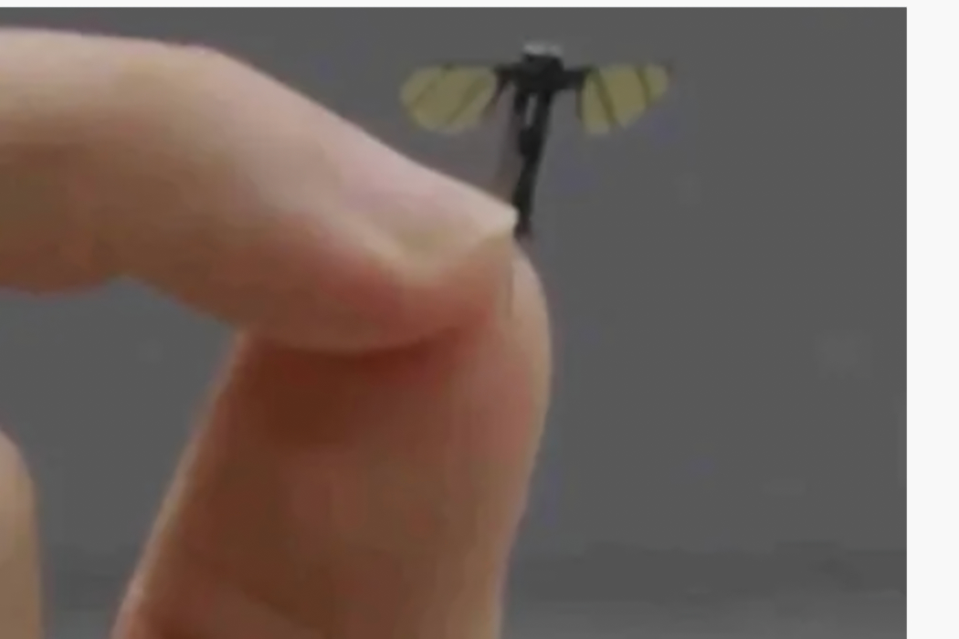 Drone