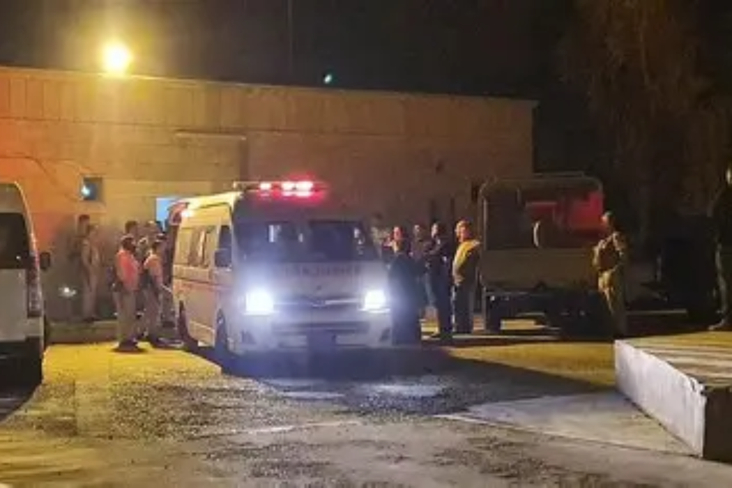 تەقە کردن
