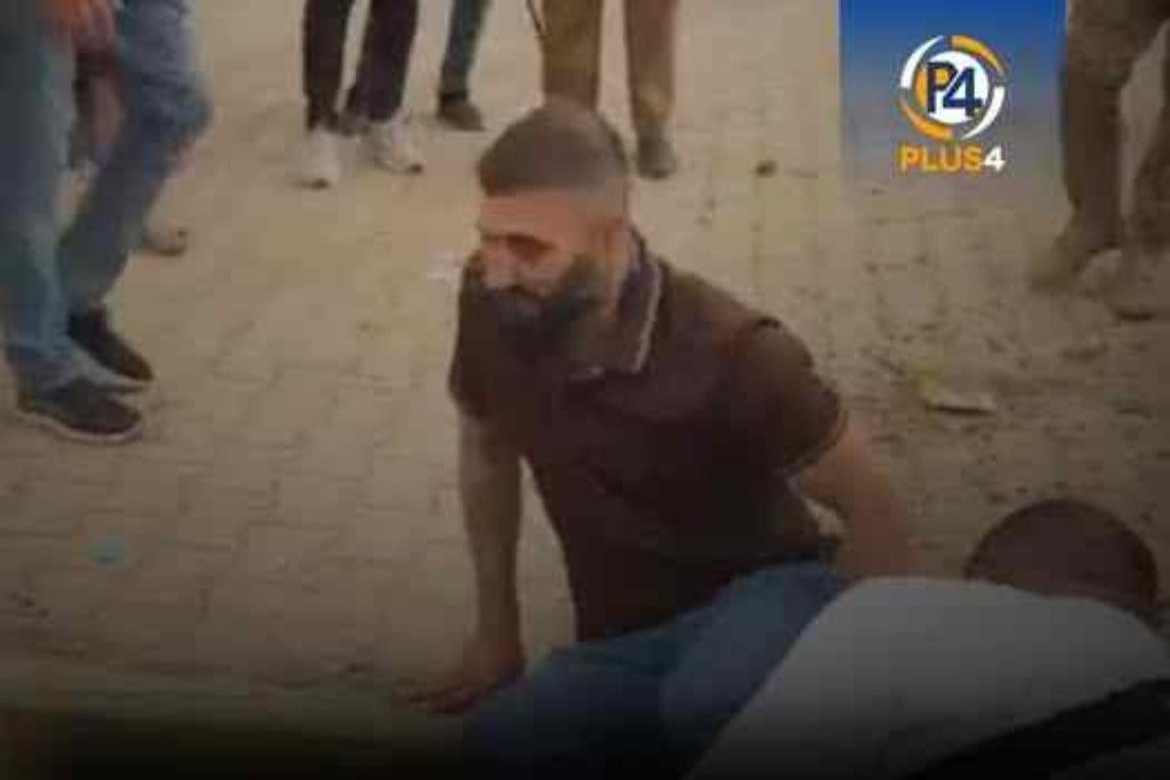 بریندار بون