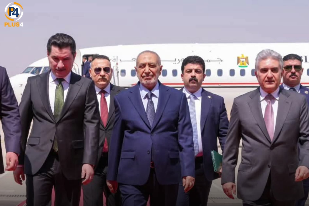 سەردانی