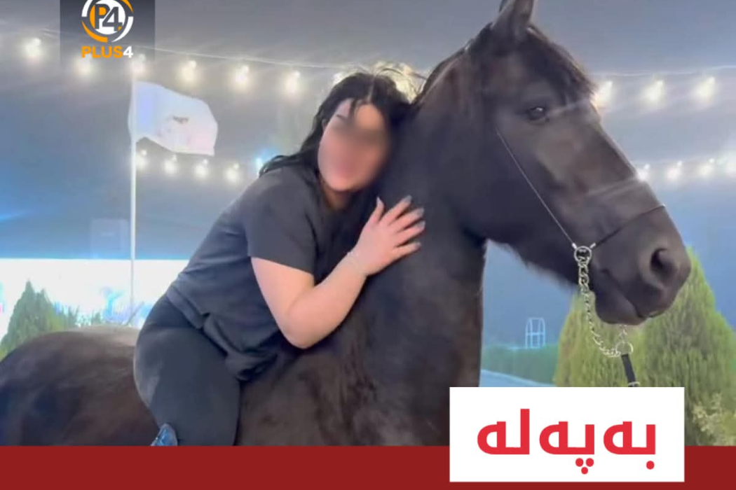 دەستگیر کردن