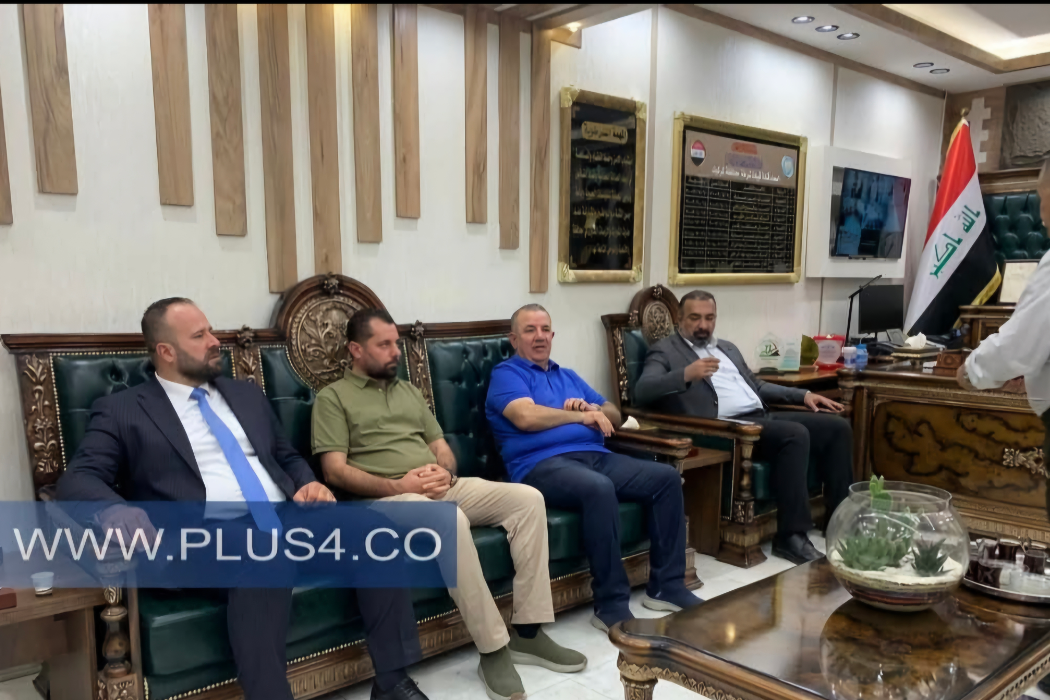 سەردانی