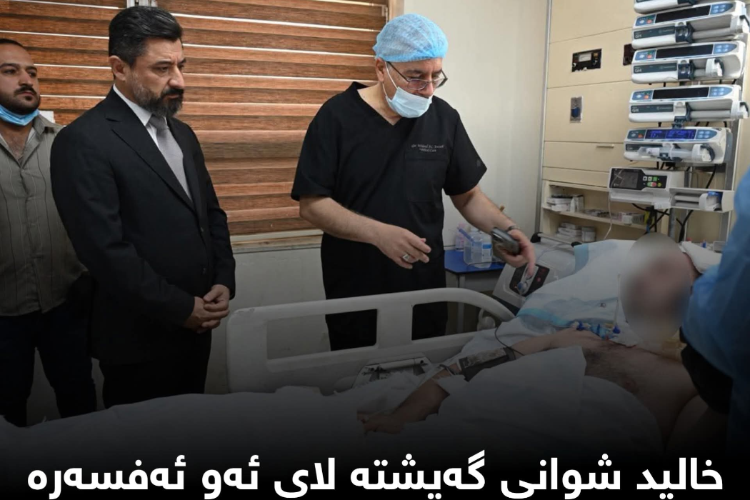 سەردانی