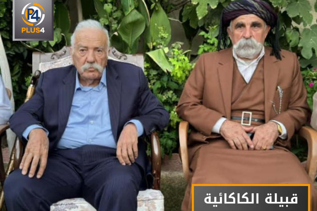 الكامائية