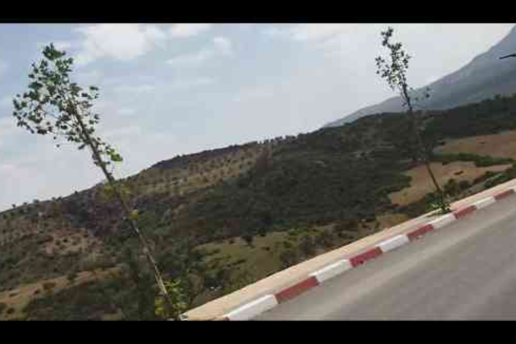 شوان