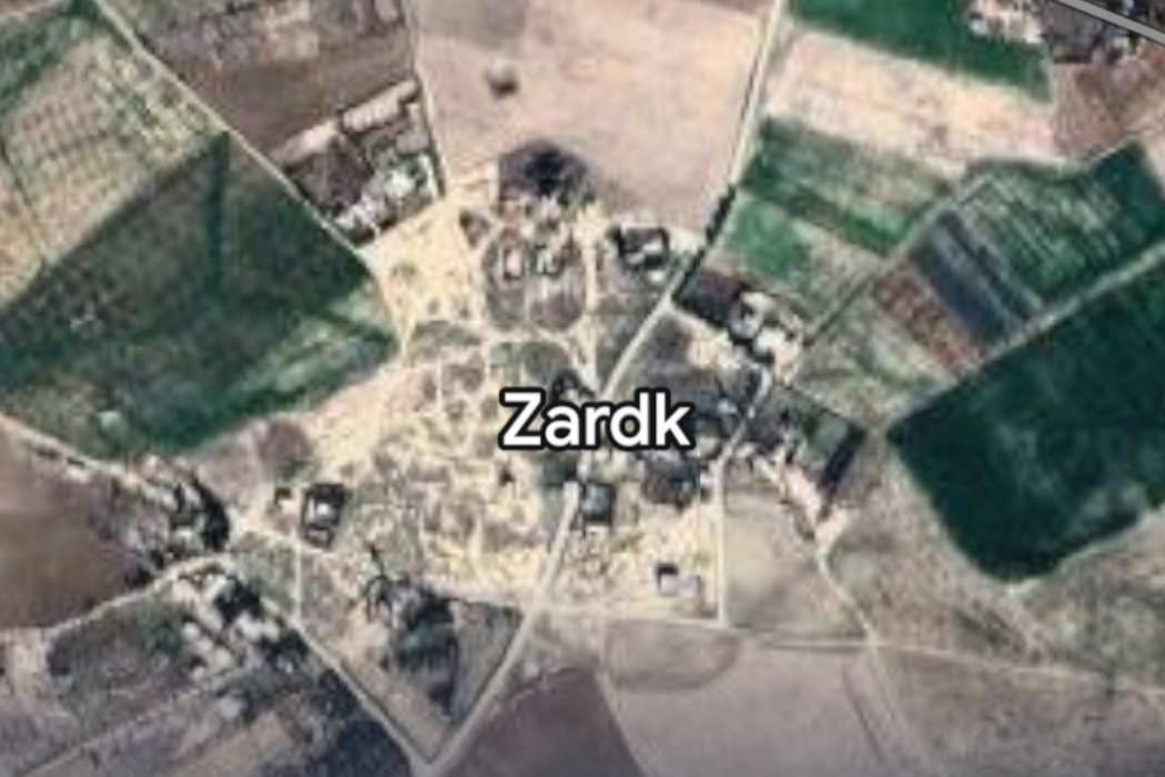 زردك