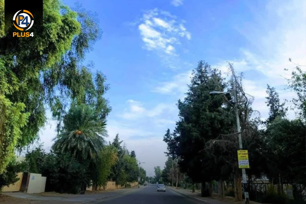 نەوتی باکوور
