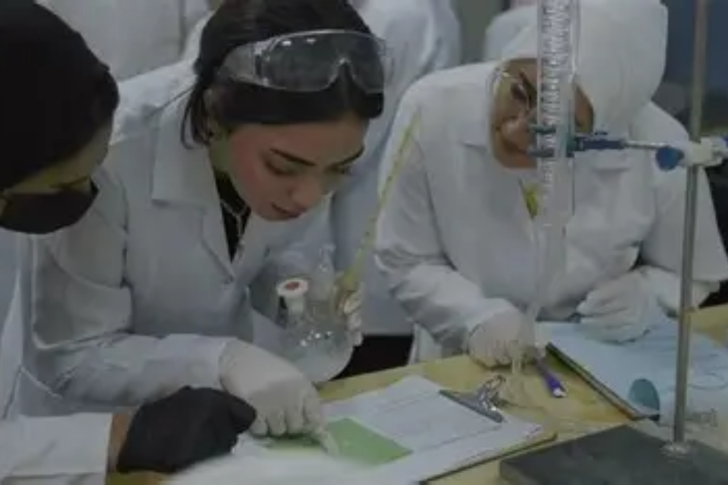 دامەزراندن