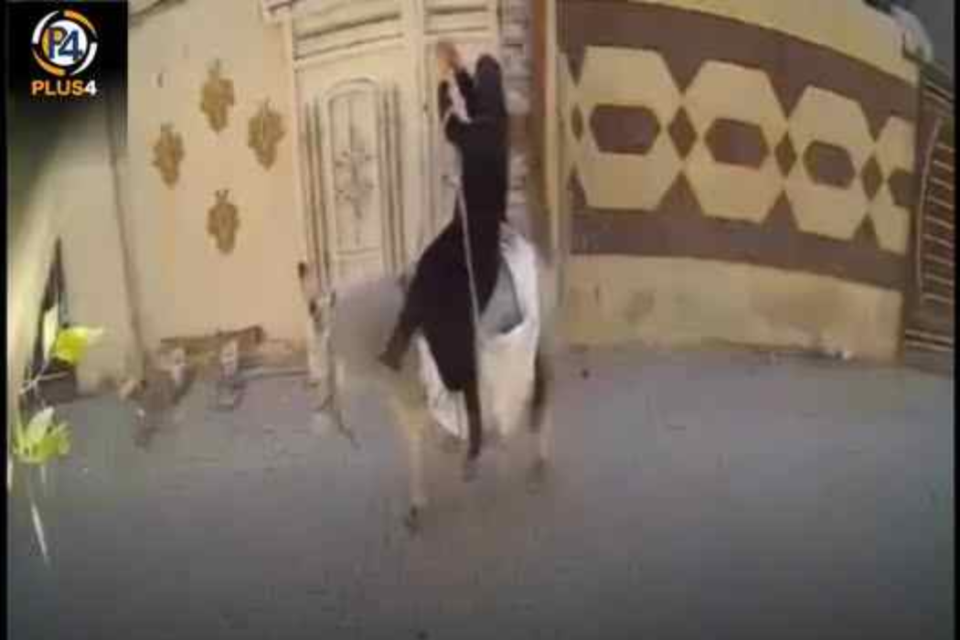 دزیکردن