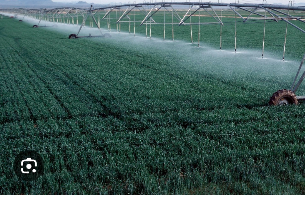 زەوی ئاودێری