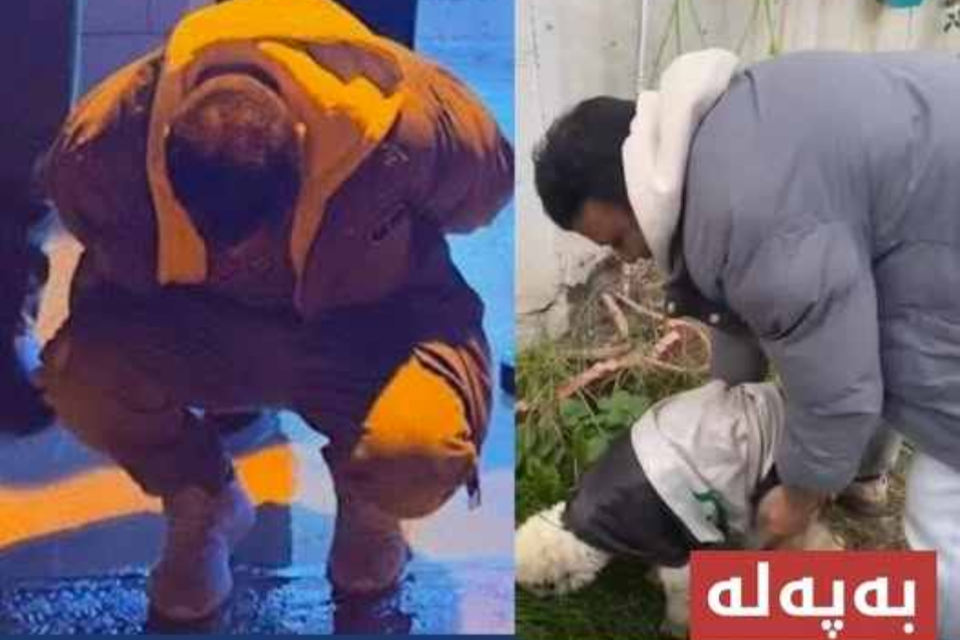 دەستگیر کردن