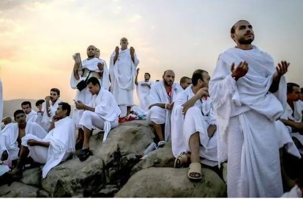 حەجاج