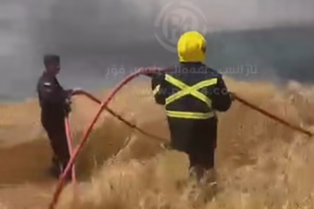 سوتاندنی دەغڵ و دان