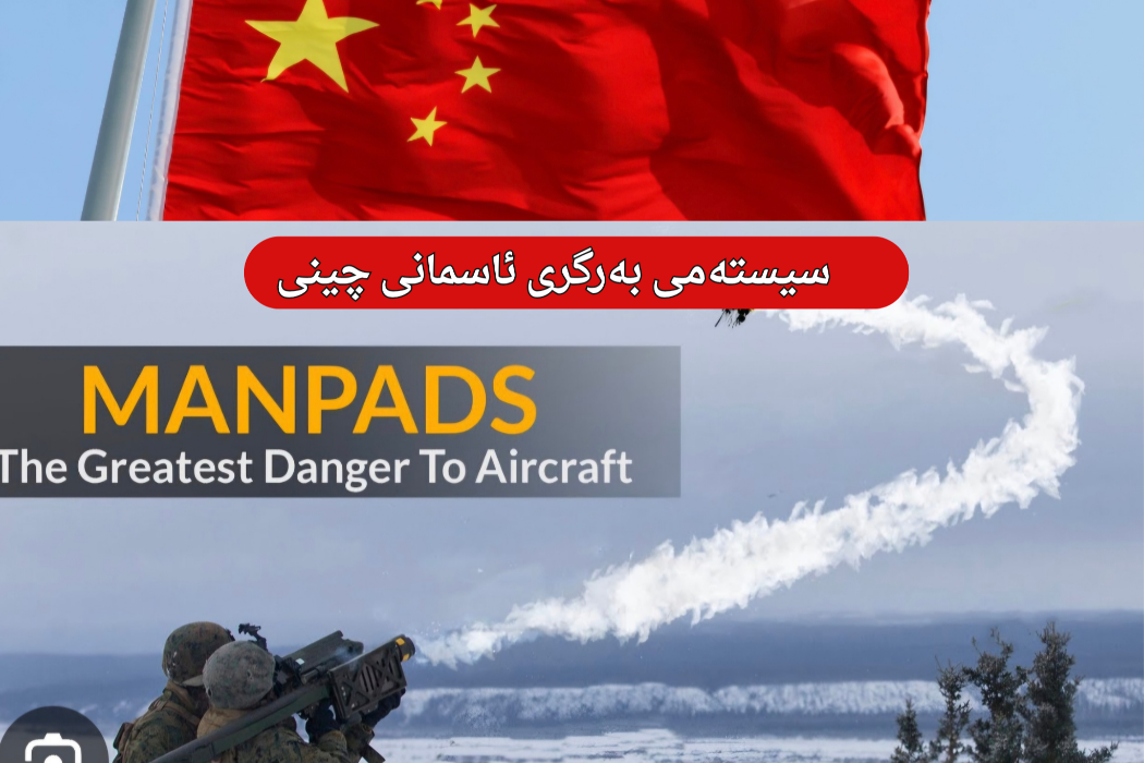سیستەمی بەرگری