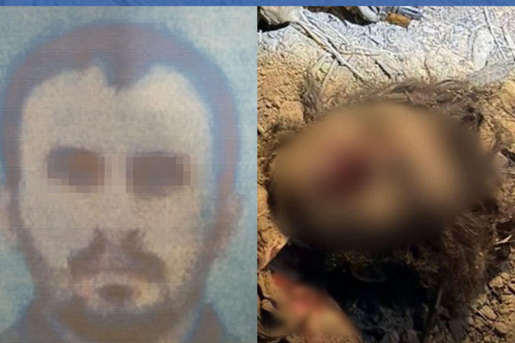 امير بهرز