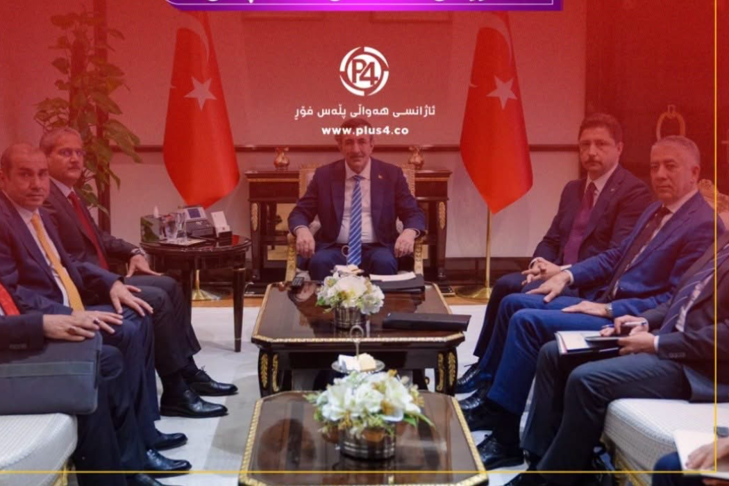 سەردانی