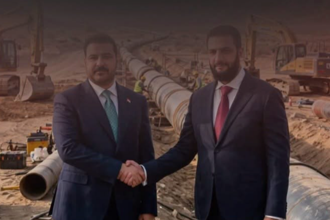 سەردانی